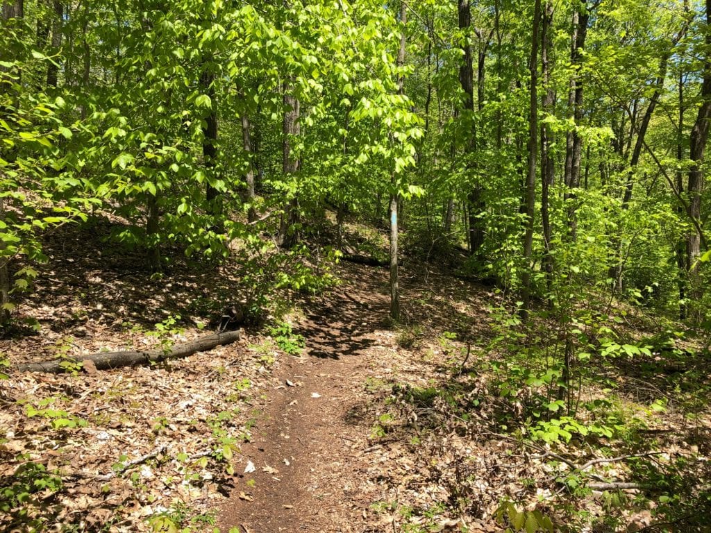 mattabesett net nice trail