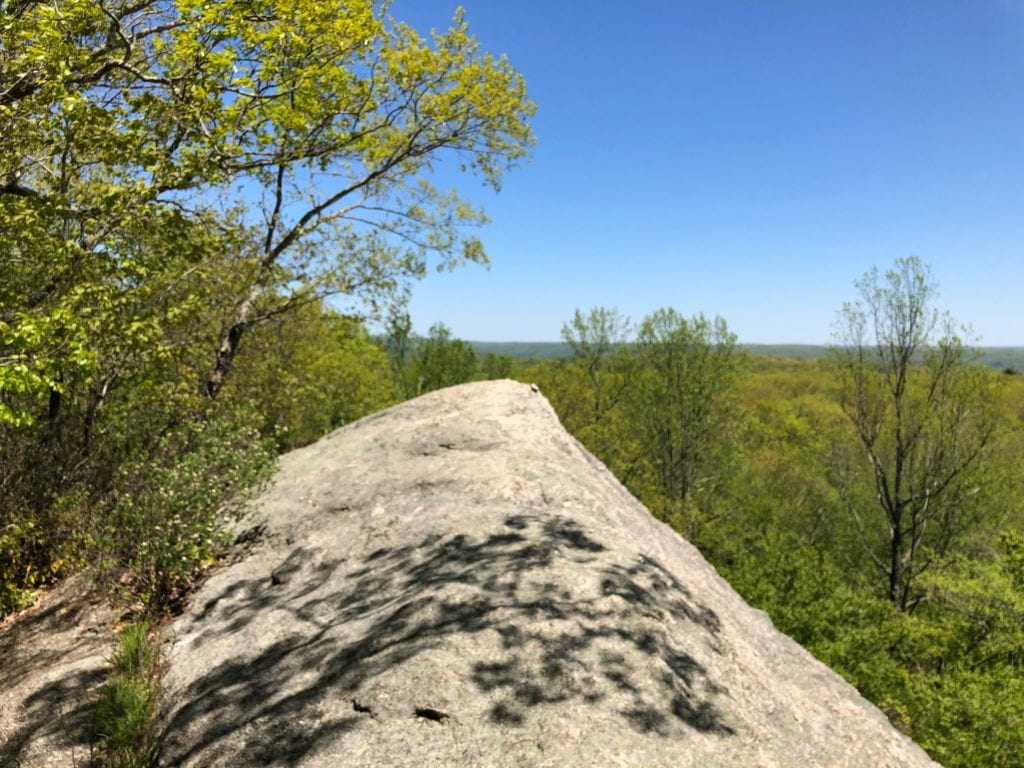 Mattabesett NET rock outcropping