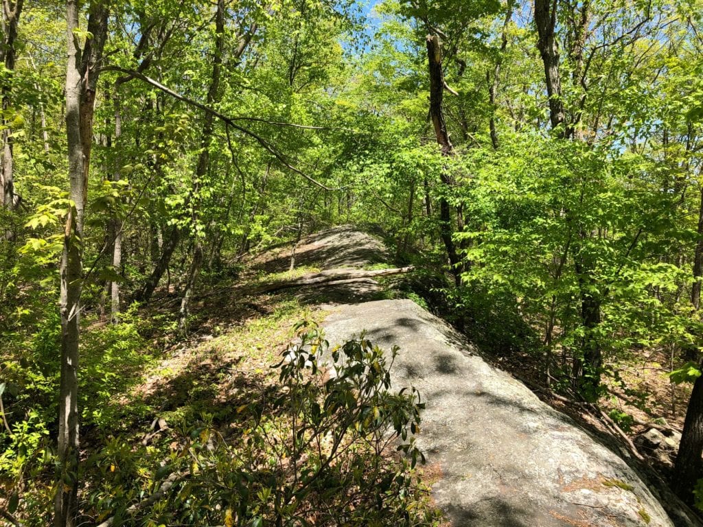 mattabesett net rock ledge