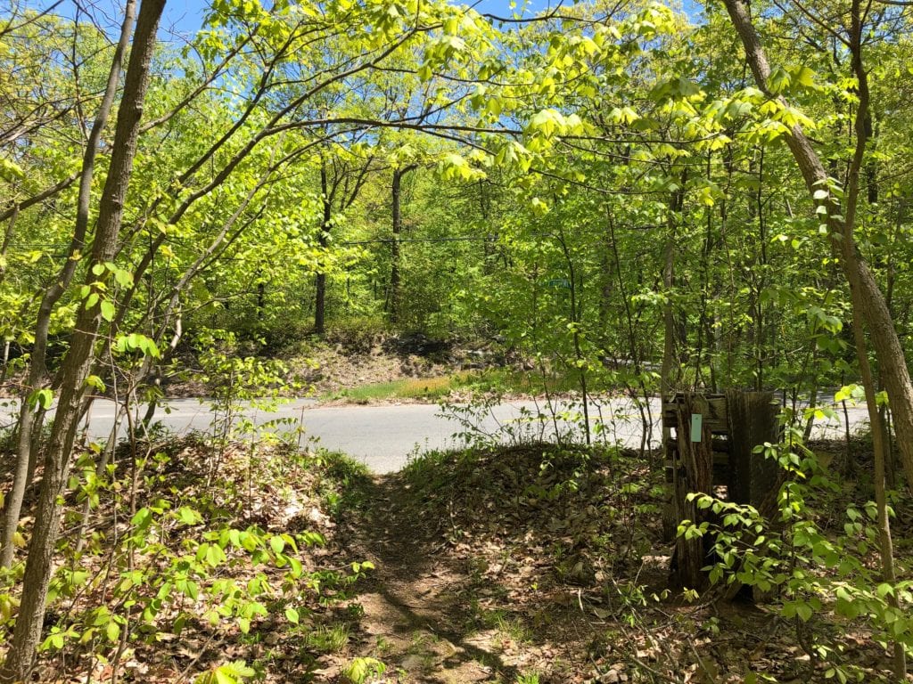 mattabesett net trail at albert weiss road