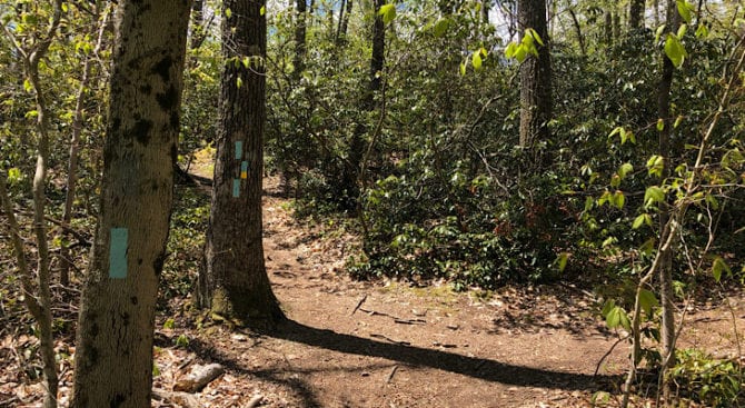 bear hill loop intersection