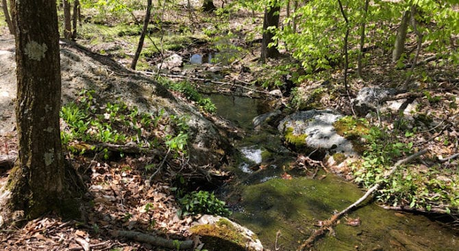 creek on the mattabesett NET