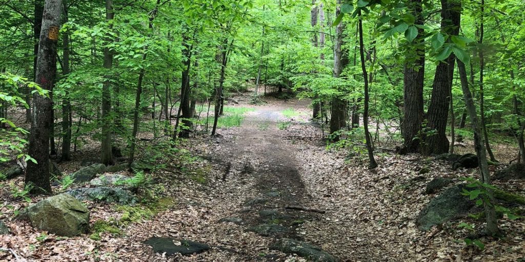 new england trail in rockland preserve