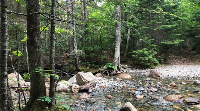 Camping site on the Carrigain Notch Trail