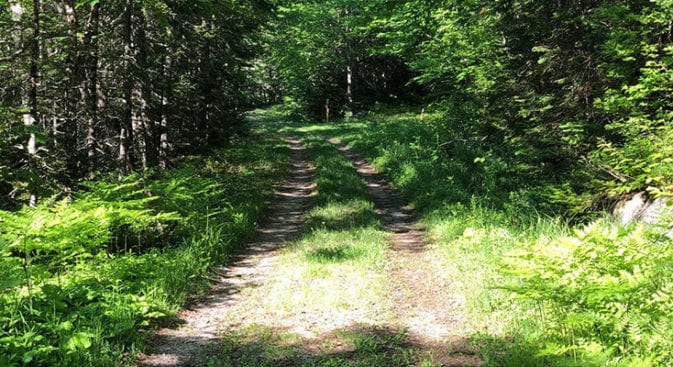 Beginning of Sawyer River Trail on Desolation Loop