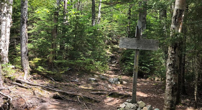 cedar brook trail junction sign