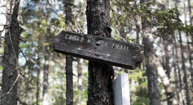 old cedar brook sign