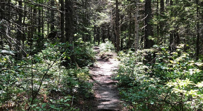 desolation loop ethan pond trail