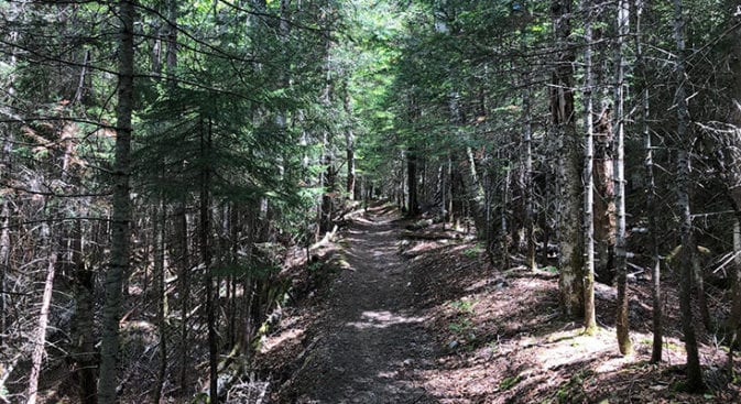 Beginning of Hancock Notch Trail on Desolation Loop