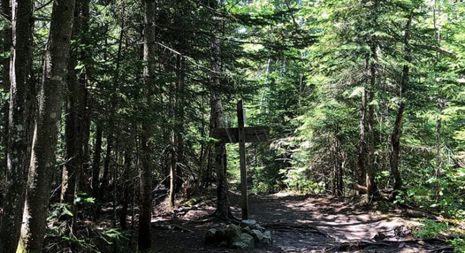 End of Hancock Notch Trail