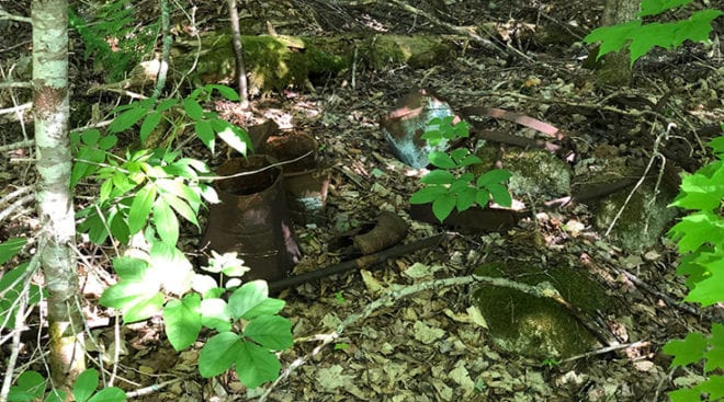 Implements and tools along Thoreau Falls Trail