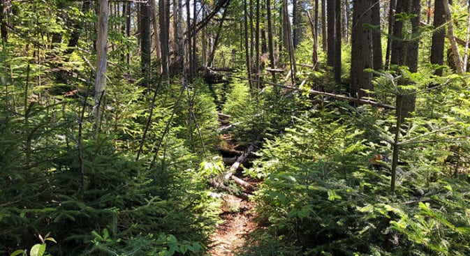 Shoal Pond Gauntlet