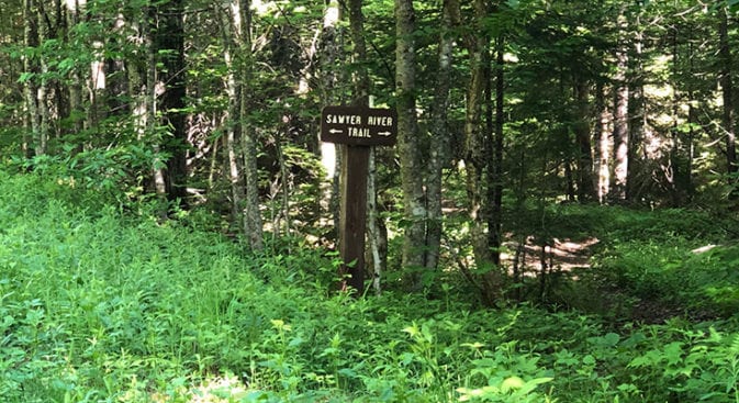 Turn off for Sawyer River Trail