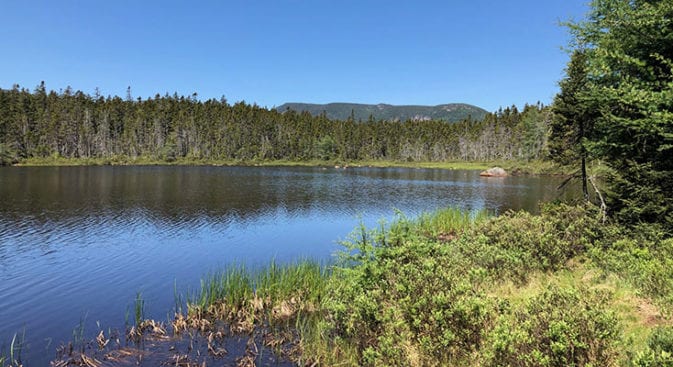 Nice Shoal Pond on Trail