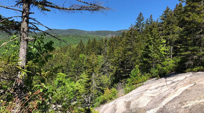 View from Near Top of Thoreau Falls