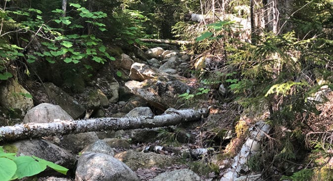 More rock scrambling on Hancock Notch Trail