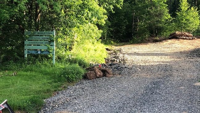 trailhead before higby mountain