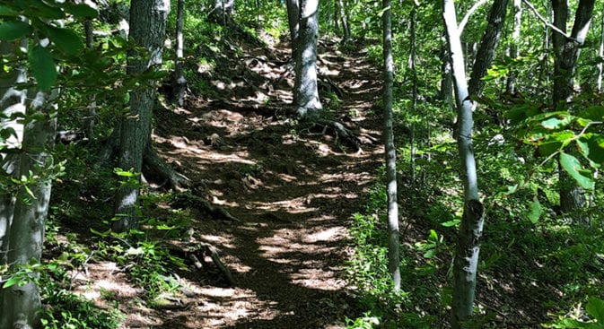 climb up from durham road on new england trail