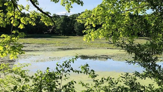 new england trail along highland pond