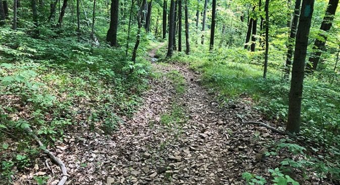 long climb up from new haven road