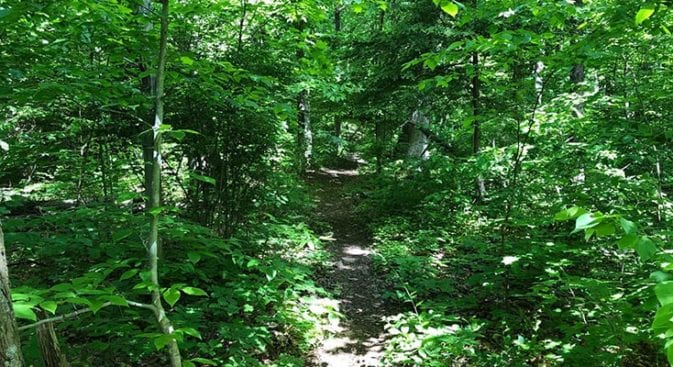 beginning of trail on section 10