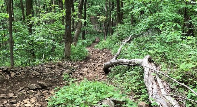 net mattabesett steep climb after howd road