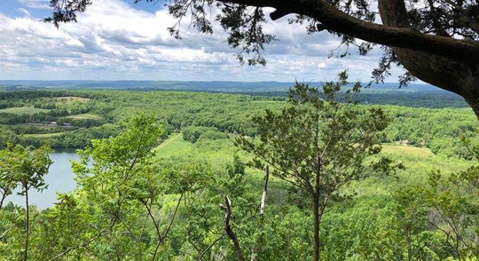 net trimountain view to gun range