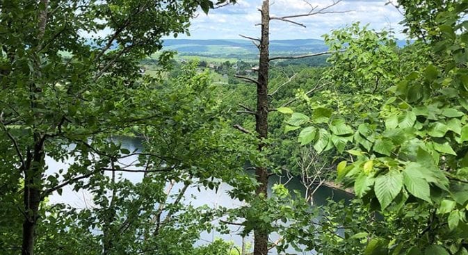 view from trail above pistapaug pond