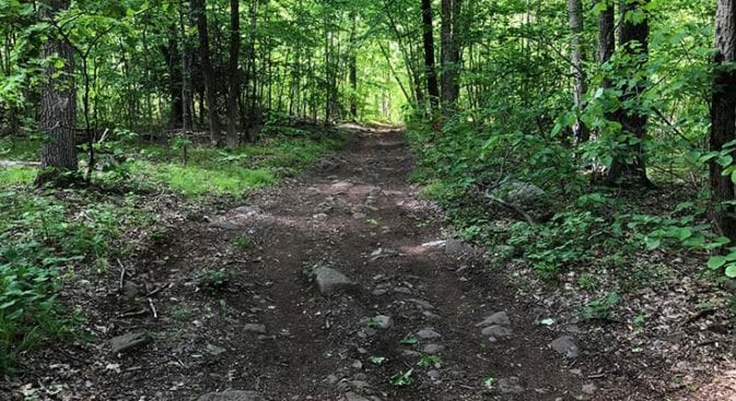 forest service road on net mattabesett section 11 past ski resort