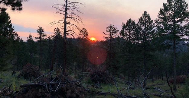 Sunrise after leaving Little Scraggy on Colorado Trail