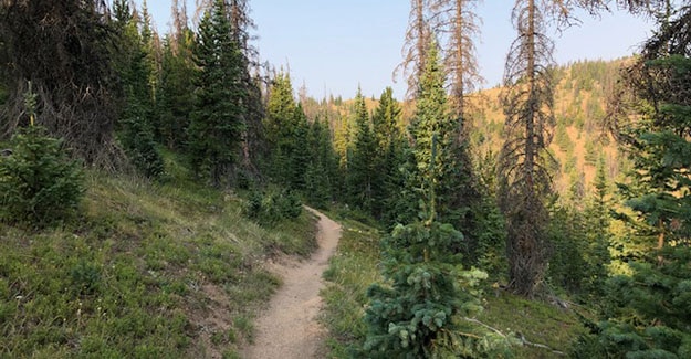 Backpacking just out of Monarch Pass along the Colorado Trail