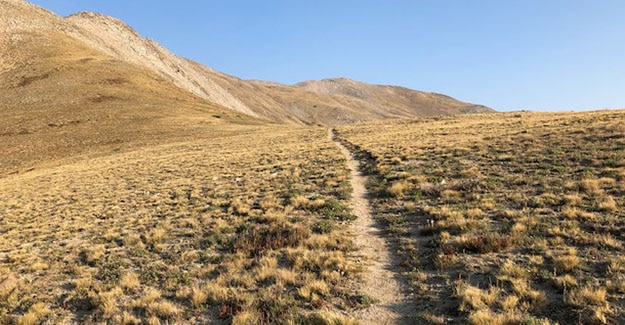 Backpacking and Hiking on the Way to Cottonwood Pass