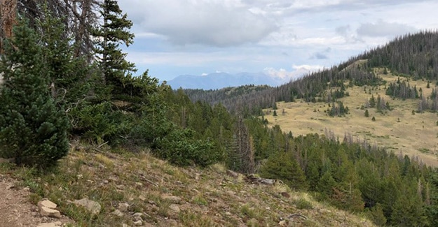 Colorado Trail Day 25 Coming Out of Monarch Pass