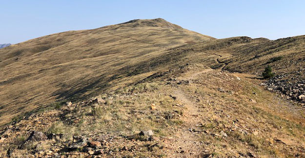 Above Treeline on the way to Cottonwood Pass