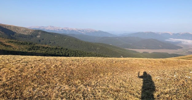 Hiking Shadow on the way to Cottonwood Pass