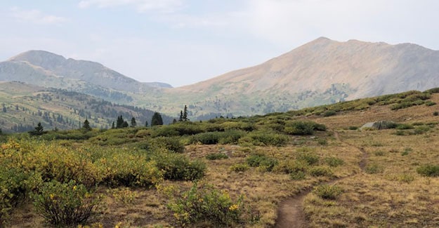 Hike Down Towards North Fork of Chalk Creek by Average Hiker