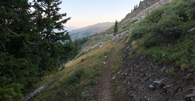 Drop into Forest on way to Cottonwood after Sanford Saddle