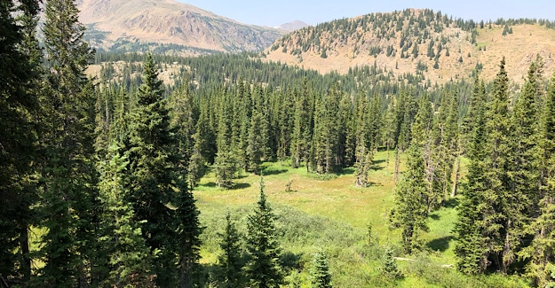 Valley View in Holy Cross Wilderness