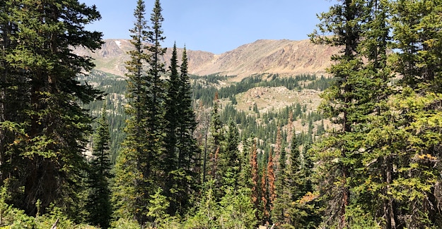 Holy Cross Wilderness Mountains