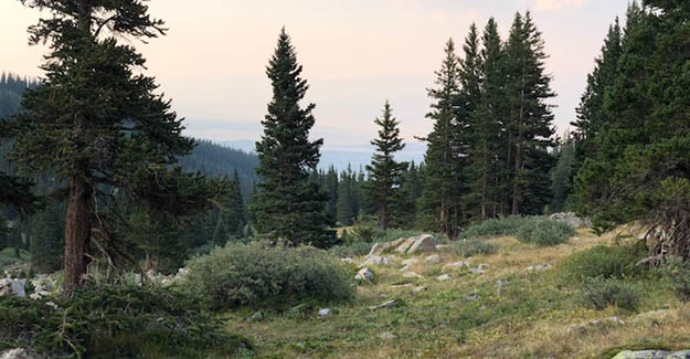 View to Twin Lakes from Campsite Below Hope Pass