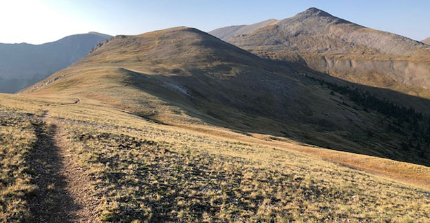 Undulating Trail Above Tree line near Cottonwood