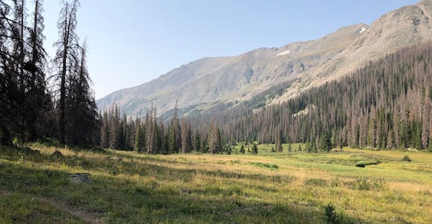 Hiking thru Valley on Colorado Trail Day 21 before Hancock Lakes