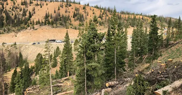 Monarch Pass Parking