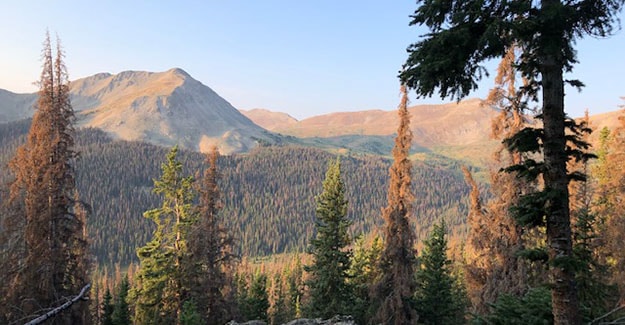 Views from Over Chalk Creek on the Colorado Trail