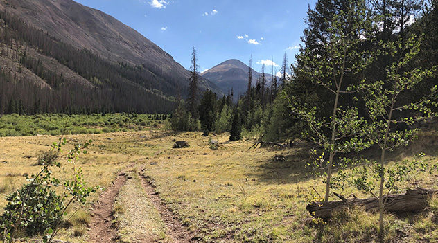 Starting Up Valley after Eddiesville Trailhead