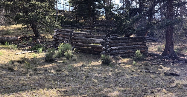 Average Hiker Hiking by Old Cabin