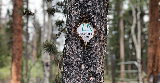 Backpacking on Colorado Trail by Trail Emblem