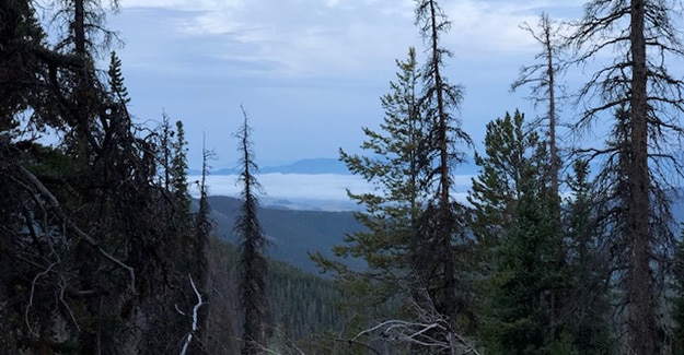 Early Morning on the Colorado Trail and Bad Weather