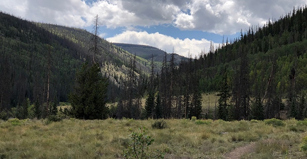 Trail Past Ranch Near Eddiesville