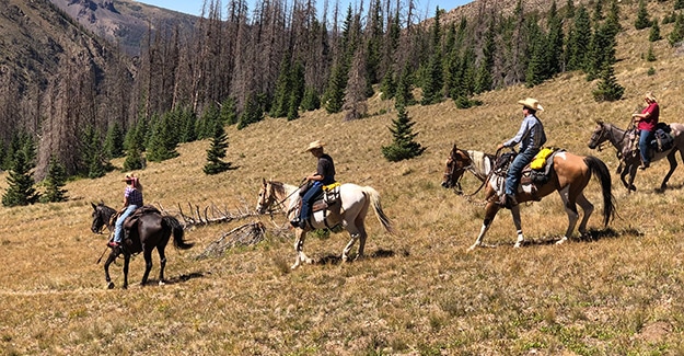 horseback riders on colorado trail